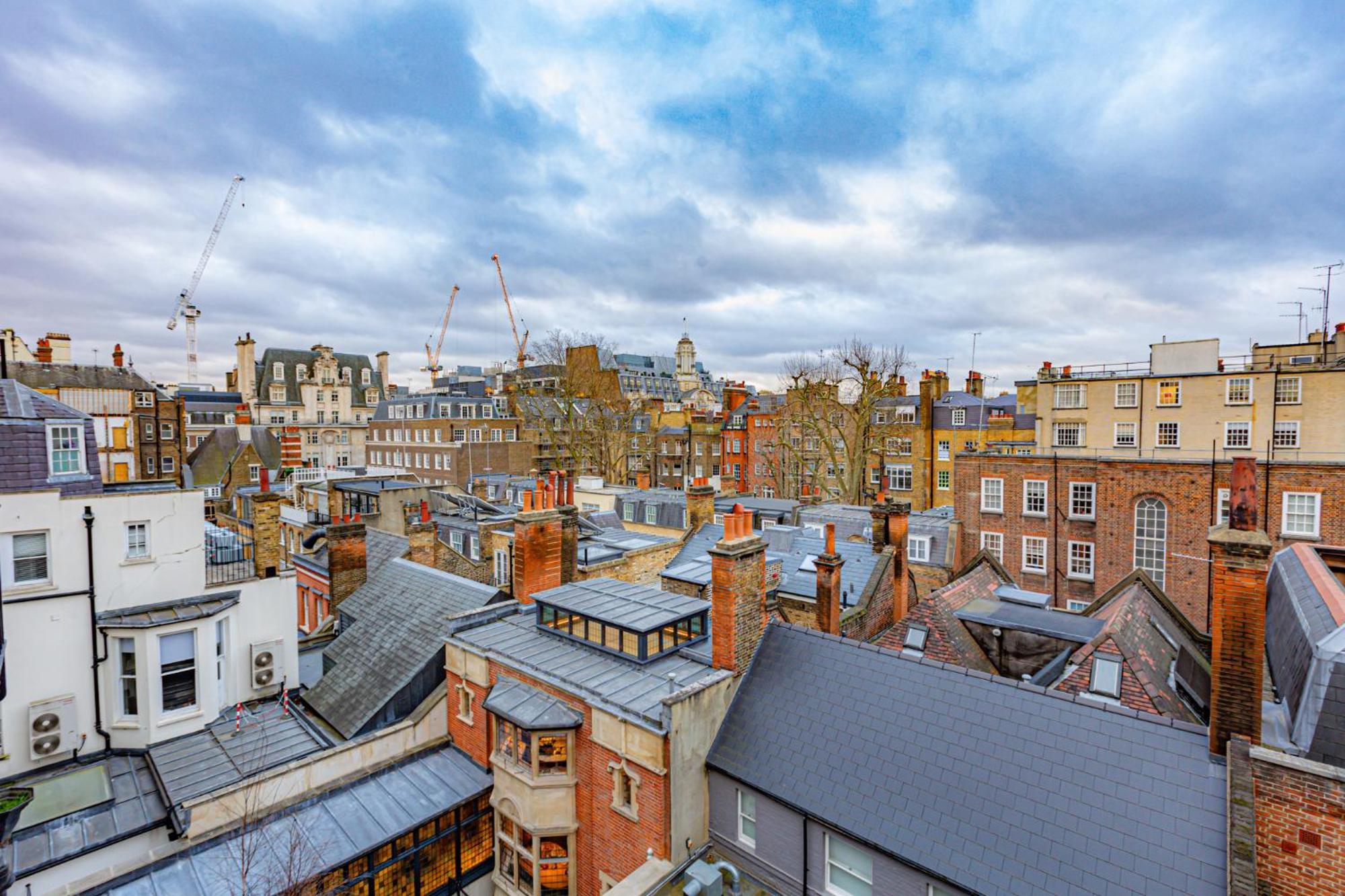 Luxury Harley Street Apartments Londra Dış mekan fotoğraf